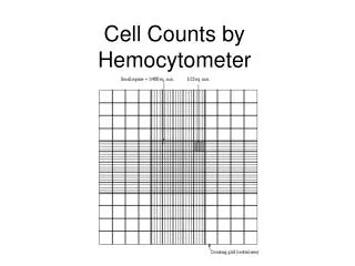 Cell Counts by Hemocytometer
