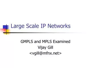Large Scale IP Networks