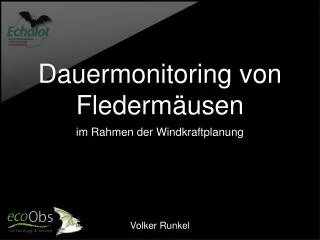 dauermonitoring von flederm usen
