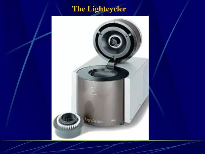 the lightcycler