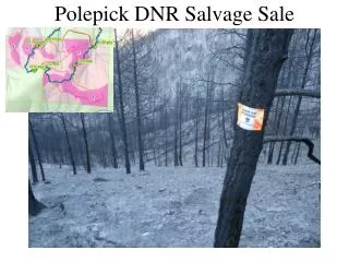 Polepick DNR Salvage Sale