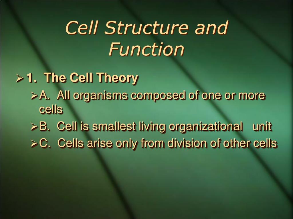 PPT - Cell Structure and Function PowerPoint Presentation, free ...