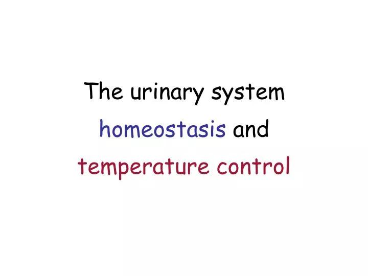 the urinary system homeostasis and temperature control