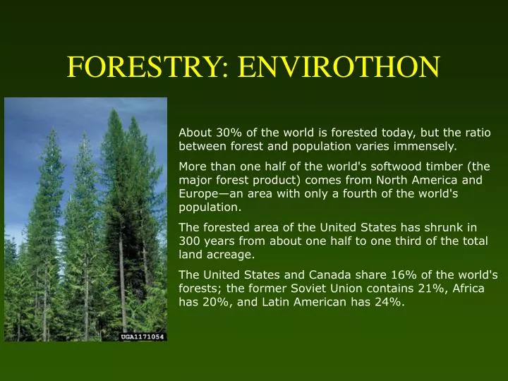 forestry envirothon