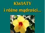 KWIATY i różne mądrości… - slide 1