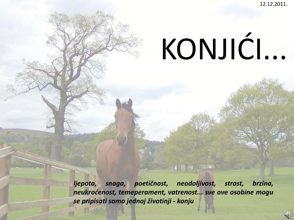 PPT - 12.12.2011. KONJIĆI.. . PowerPoint Presentation, free download ...