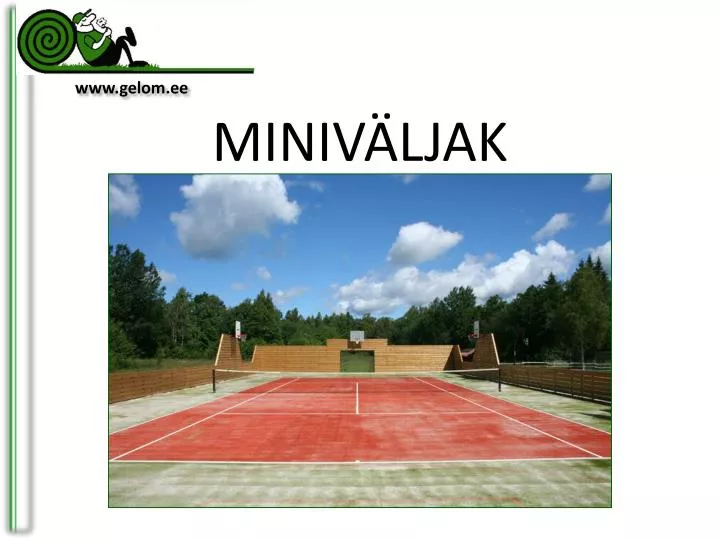 miniv ljak