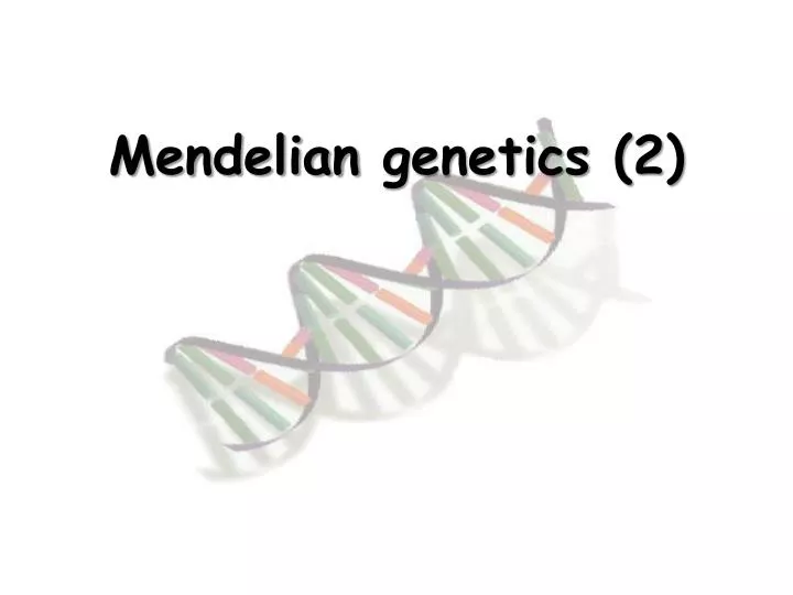 mendelian genetics 2