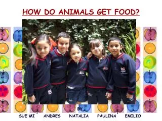 HOW DO ANIMALS GET FOOD?