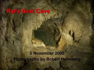 Rat’s Nest Cave