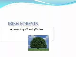 Irish forests