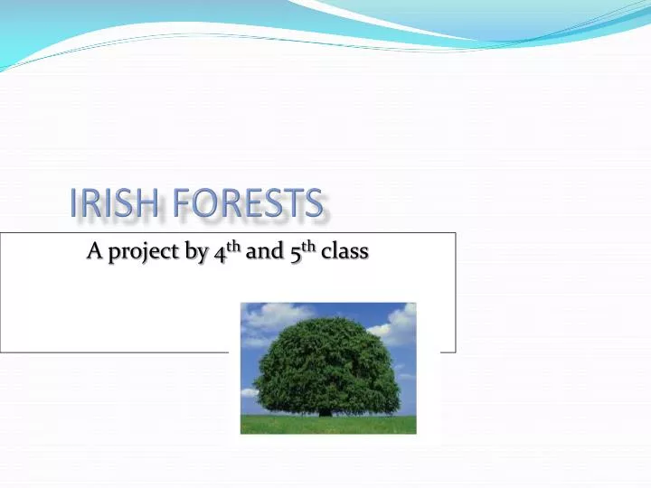 irish forests