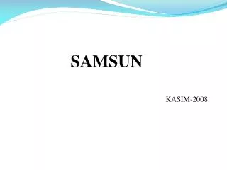 SAMSUN KASIM-2008