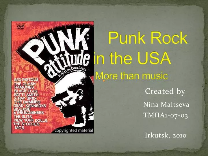 punk rock in the usa more than music