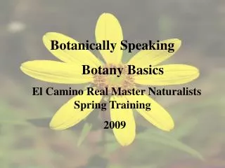 Botanically Speaking Botany Basics El Camino Real Master Naturalists Spring Training