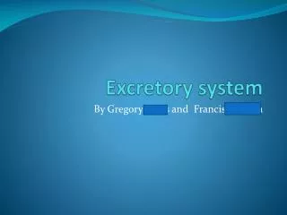 Excretory system