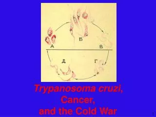 Trypanosoma cruzi , Cancer, and the Cold War