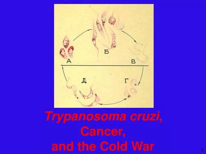 trypanosoma cruzi cancer and the cold war