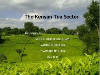 The Kenyan Tea Sector