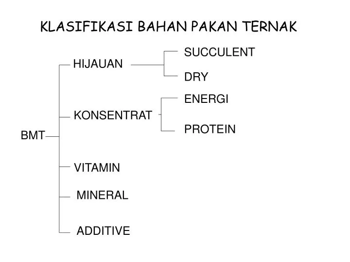 klasifikasi bahan pakan ternak