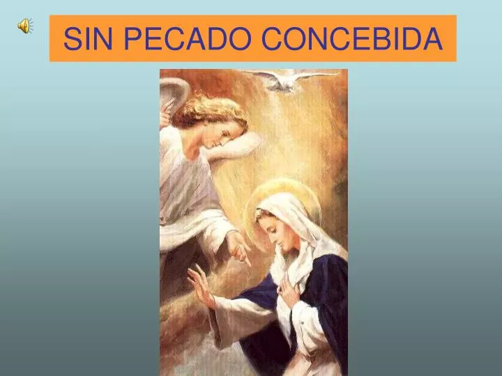 sin pecado concebida