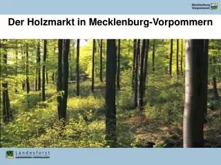 Der Holzmarkt in Mecklenburg-Vorpommern