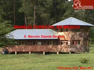 MANEJO FORESTAL EN MÉXICO