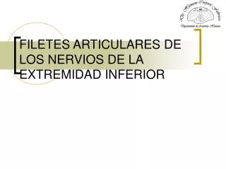 FILETES ARTICULARES DE LOS NERVIOS DE LA EXTREMIDAD INFERIOR