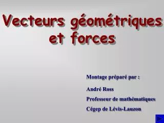 Vecteurs géométriques et forces