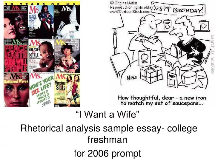 i want a wife rhetorical analysis sample essay college freshman for 2006 prompt