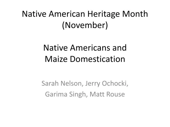 native american heritage month november native americans and maize domestication