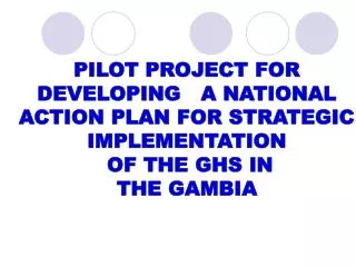 PILOT PROJECT FOR DEVELOPING A NATIONAL ACTION PLAN FOR STRATEGIC IMPLEMENTATION