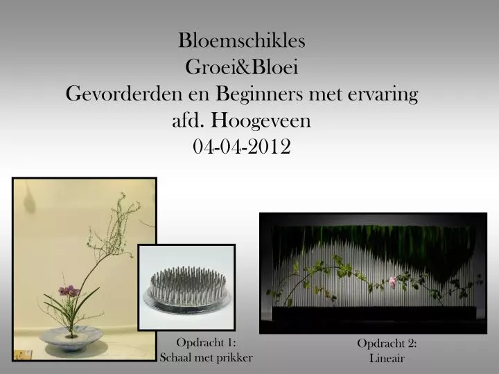 bloemschikles groei bloei gevorderden en beginners met ervaring afd hoogeveen 04 04 2012