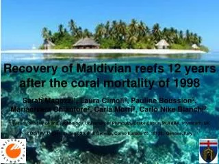 Recovery of Maldivian reefs 12 years after coral mortality