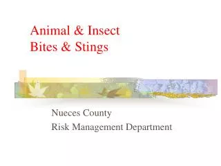 Animal &amp; Insect Bites &amp; Stings