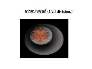 การแบ่งเซลล์ ( Cell division. )