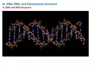 III. DNA, RNA, and Chromosome Structure A. DNA and RNA Structure