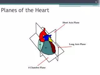 Planes of the Heart