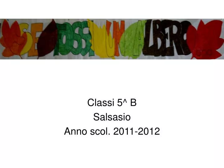 classi 5 b salsasio anno scol 2011 2012