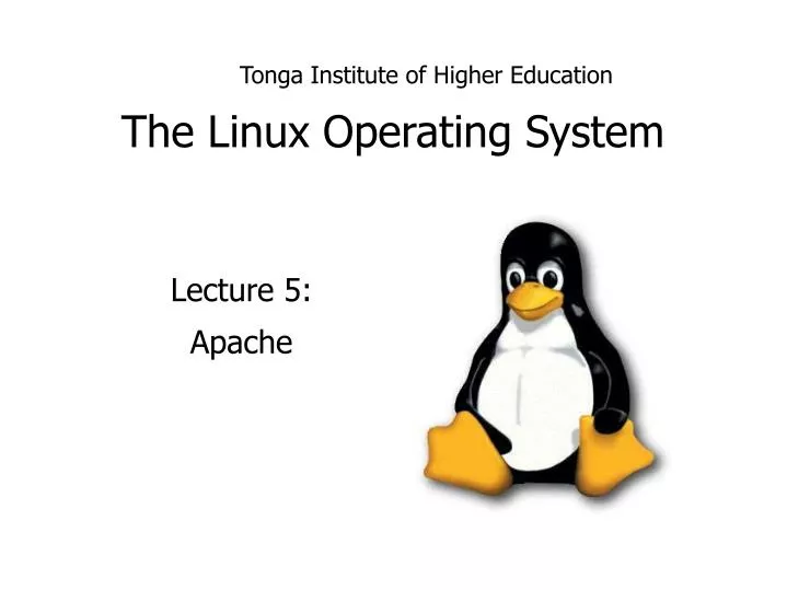 the linux operating system