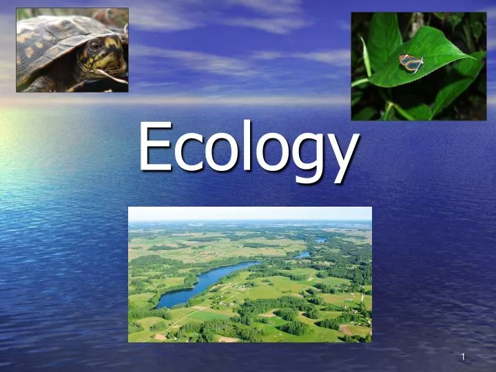 ecology