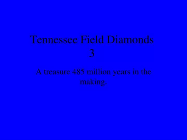 tennessee field diamonds 3