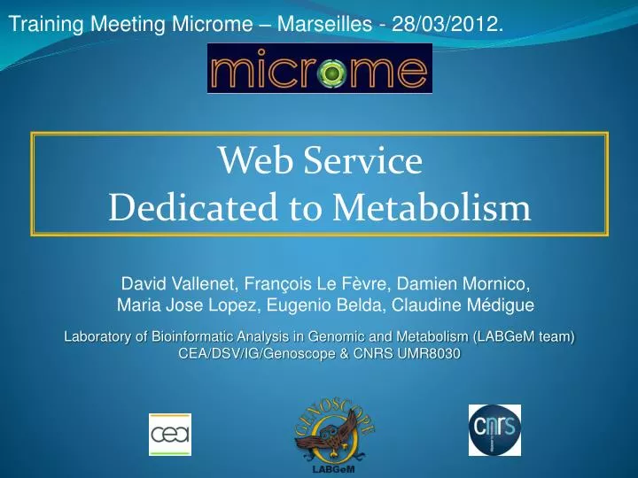 training meeting microme marseilles 28 03 2012