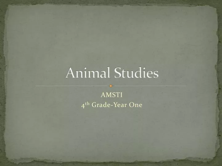 animal studies