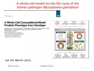 A whole-cell model for the life cycle of the human pathogen Mycoplasma genitalium