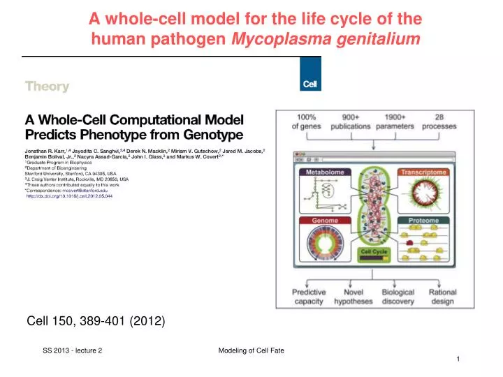 a whole cell model for the life cycle of the human pathogen mycoplasma genitalium