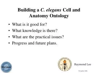 Building a C. elegans Cell and Anatomy Ontology