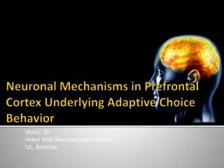 Neuronal Mechanisms in Prefrontal Cortex Underlying Adaptive Choice Behavior