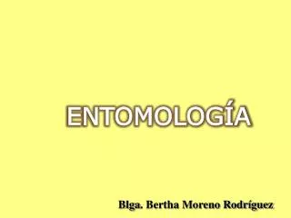 ENTOMOLOGÍA Blga . Bertha Moreno Rodríguez