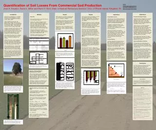 Quantification of Soil Losses From Commercial Sod Production